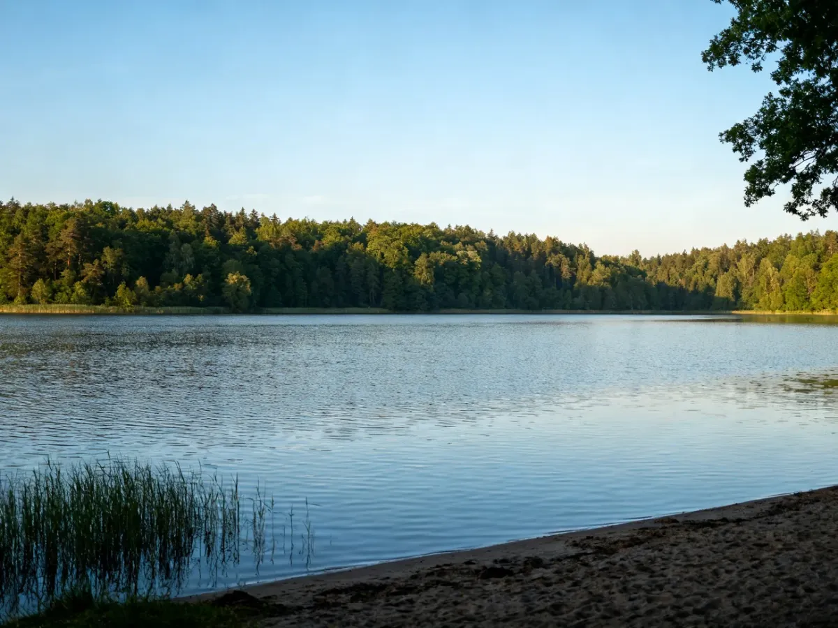Panoramic view of a pristine forest-fringed lake in Masuria