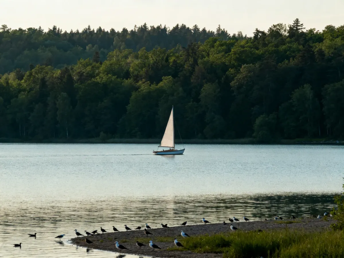 Sailboat on a quiet forest-fringed lake surrounded by nature