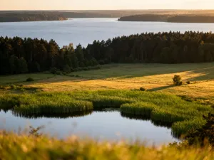 Nowoczesny pokój hotelowy z laptopem, paszportem i telefonem na biurku, symbolizujący bezpieczną rezerwację noclegu online.
