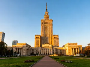 Dorosły pies rasy beagle o trójkolorowym umaszczeniu siedzący na słonecznej, zielonej łące.