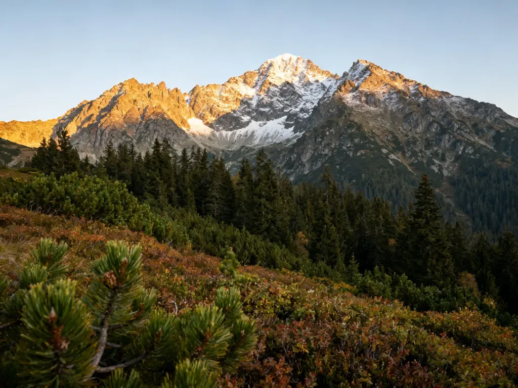 Panoramiczny widok na Tatry z wyraźnie zaznaczonymi piętrami roślinności, od kosodrzewiny po ośnieżone szczyty.