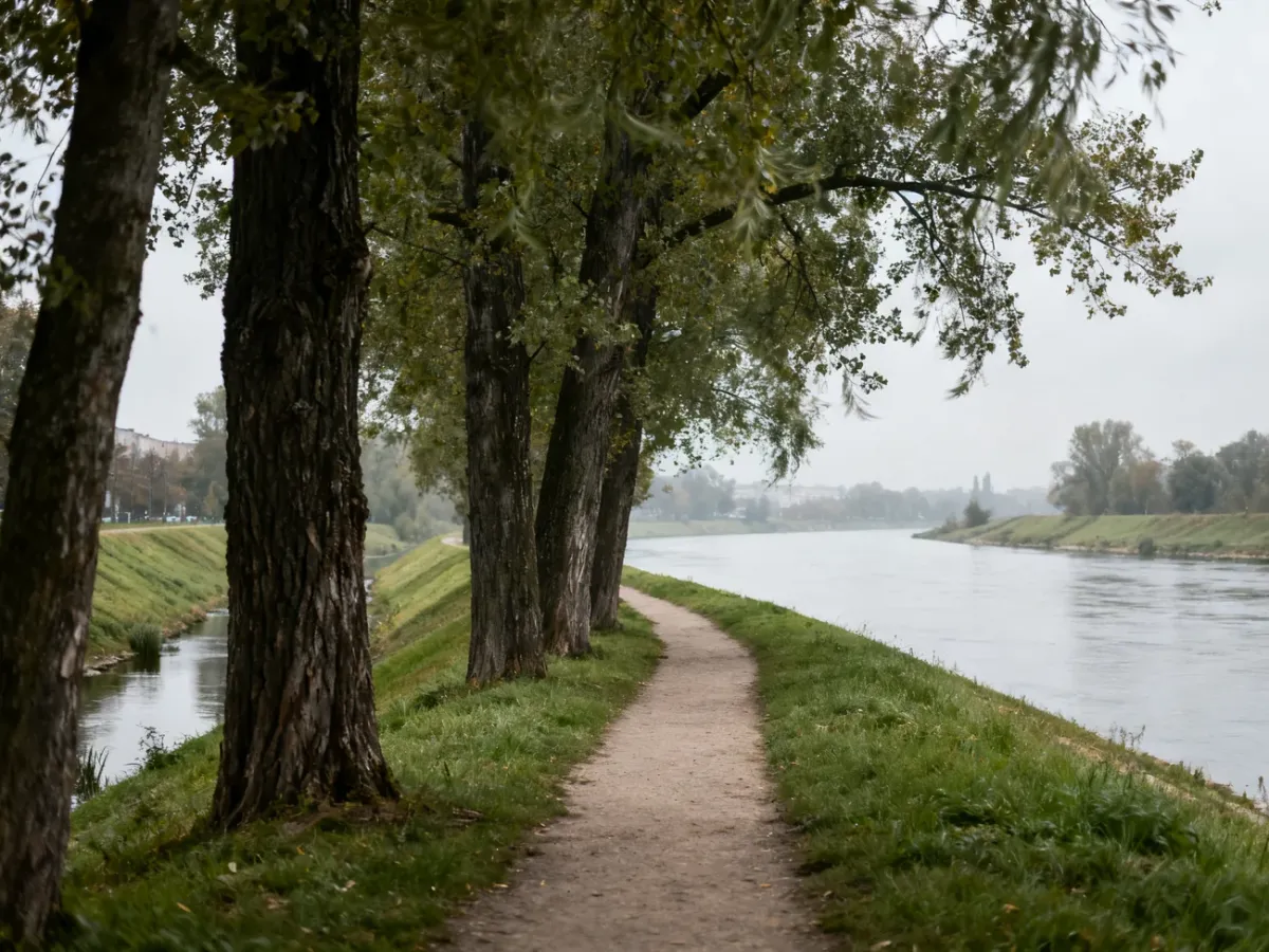 Spokojna ścieżka spacerowa i naturalny krajobraz Wyspy Opatowickiej