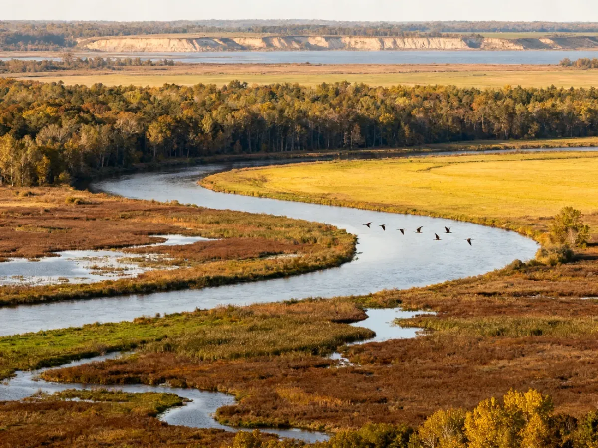 Protected river floodplain with wetlands, forests and birds